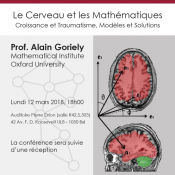 Le Cerveau et les Mathématiques : Croissance et Traumatisme, Modèles et Solutions
